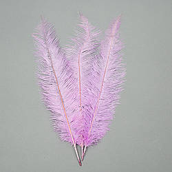 Страусине перо 55 см світло-фіолетовий Solar Moon