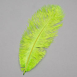 Страусине перо 25-30 см салатовий Solar Moon