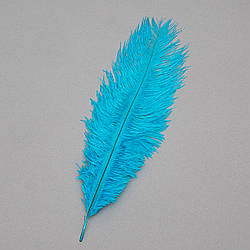 Страусине перо 25-30 см блакитний Solar Moon