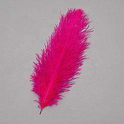 Страусине перо 25-30 см малиновий Solar Moon