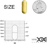 Genex Formula, кверцетин, 500 мг, 60 веганських капсул. Зроблено в США, фото 4
