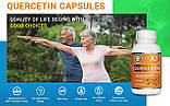 Genex Formula, кверцетин, 500 мг, 60 веганських капсул. Зроблено в США, фото 7