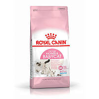 Сухой корм для котов Royal Canin Mother & Babycat 10 кг Акция