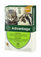 Препарат проти бліх для кішок і кроликів вагою до 4 кг Bayer Advantage 40 4 х 0,4 мл Акція