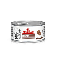 Лечебный влажный корм для собак Royal Canin Recovery 195 г Акция