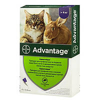 Препарат проти бліх для кішок і кроликів вагою від 4 кг Bayer Advantage 80 4 х 0,8 мл Акція