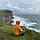 Куртка Turbat Trek Pro Mns Cheddar Orange (оранжева), XXL, фото 8