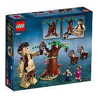 Конструктор  LEGO Harry Potter Заборонений ліс: Грохха і Долорес Амбридж 253 деталі (75967), фото 2