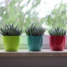 Вазон квітковий 18*16 см Коричневого кольору, Магнолія Ламела Мокка, фото 2