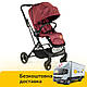 Детская прогулочная коляска (реверсивный блок) JOY Liliya 10105 Вишневый - фото 1 - id-p1614026694