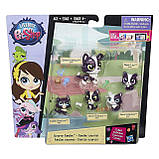 Littlest Pet Shop сім'я цуценят, фото 2
