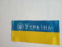 Заготовка для прапорців