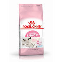 ROYAL CANIN MOTHER&BABYCAT Сухий корм для кішки в період вагітності та лактації та для кошенят, 10 кг