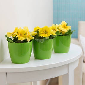 Маленький квітковий вазон 13.5*12см 1,2л салатового кольору, Магнолія Ламела, фото 1