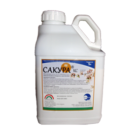 Фунгіцид Сакура 5 л., фото 1