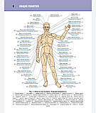Коліщатка Л.Л.Анатомія людини. Атлас у 3-х томах. Том 1. Остеологія, артросиндесмологія, міологія, фото 3