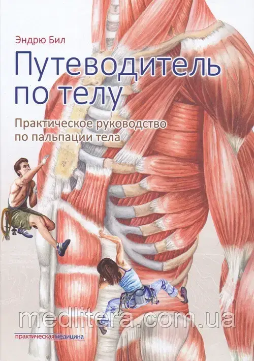 Біл Ендрю Путівник по тілу. Практичний посібник з пальпації тіла 2019 рік