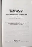 Коржевський Д.Е. Молекулярна морфологія. Методи флуоресцентної та конфокальної лазерної мікроскопії, фото 2