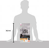 Сухий корм для котів Purina Pro Plan Elegant Adult 1+ з лососем 1.5 кг, фото 5