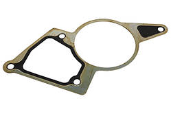 Прокладка вакуумного насоса GP Citroen Jumper 3 2,2 HDi (9676973280)