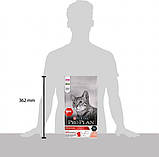 Сухий корм для котів Purina Pro Plan Original Adult 1+ з лососем 1.5 кг, фото 4
