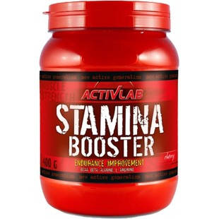 Activlab Stamina Booster 400 g , фото 1