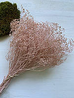 Статиця широколиста рожева (45 гр)