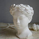 СВВ - 500 зміцнювач гіпсу, фото 9