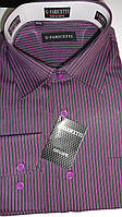 Рубашка мужская G-Faricetti 207003 сливовая полоска