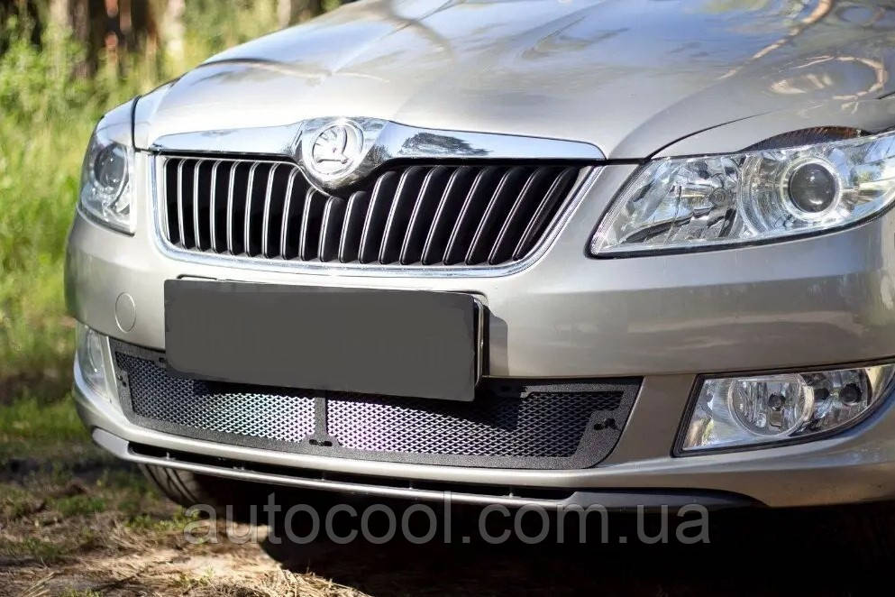Захисна сітка переднього бампера Skoda Fabia II 2010-2013 р.в. Шокоду Фабіа