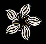 Світлодіодна люстра світильник з пультом і підсвіткою Splendid-Ray 2850100, фото 5