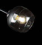 Люстра в спальню з плафонами (BK+CR) Splendid-Ray 286154, фото 2