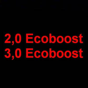 Двигун 2.0; 3.0 Ecoboost