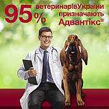 Краплі від бліх і кліщів Advantix Bayer для собак вагою 40-60 кг, ціна за 1 піпетку, фото 9