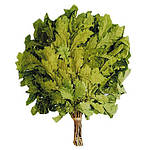 Віник для лазні дубовий