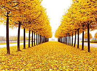 Картина за номерами 3D 2 в 1 алмазна мозаїка та розмальовка на підрамнику 40х50 см CY2342