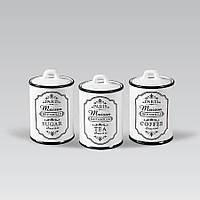 Набір з 3-х ємкостей Maestro "Paris Maison" MR-20030-03CS