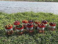 Бойлы Carp Tasty Food насадочный Hook Boiles 18mm Soluble Exotic Fruits 100g
