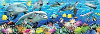 Пазл Anatolian 1009, Підводний світ, 1000 ел., 96 x 33 см, упаковка 36 х 25 х 5 см
