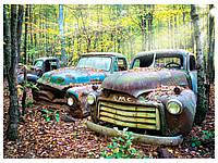 Пазл Anatolian 1021, Нагадування про минуле, 1000 ел., 66 х 48 см, упаковка 36 х 25 х 5 см