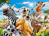 Пазл Castorland, B-222148, Африканське селфі, 200 ел. 40 x 29 см Коробка: 32 x 22 x 4.7 см