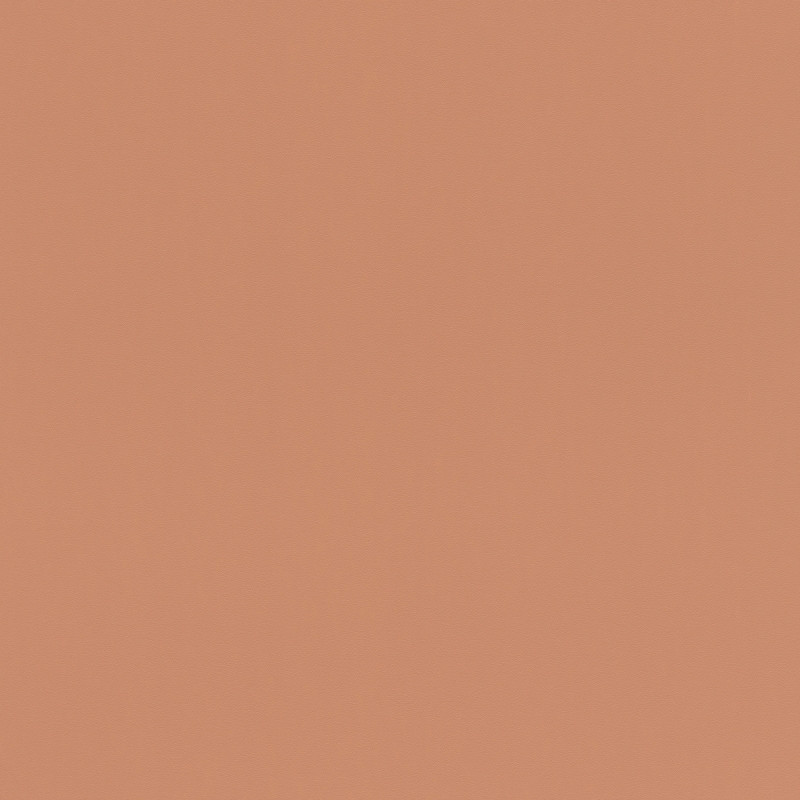 Шпалери Rasch Salsa 806892, фото 1