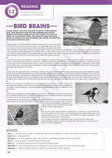 Focus 5 Second Edition Workbook (Daniel Brayshaw, Dean Russell) Pearson / Робочий зошит, фото 4