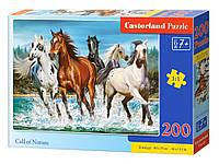 Пазл В-222056, Коні, 200 ел., 40 х 29 см, пакет 32 х 22 х 4,7 см