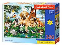 Пазл В-222063, Товариши, 200 ел., 40 x 29 см, упаковка 32 x 22 x 4.7 см