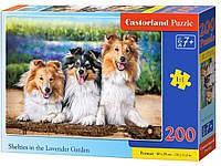 Пазл В-222117, Шелті в лавандовому саду, 200 ел., 40 х 29 см, упаковка 32 х 22 х 4,7 см