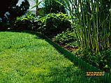 Садовий бордюр Gardena зелений 9 м*15 см (00538-20), фото 3
