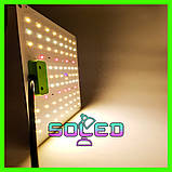 Фітолампа 40W 82LED samsung LM281B (Повний спектр. Фітопанель. Фитосвет. Освітлення для рослин.), фото 3