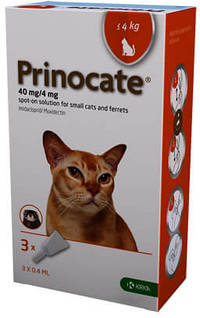 Краплі проти бліх і паразитів KRKA Prinocate (Принокат) для котів до 4 кг 0.4 мл 1 піпетка