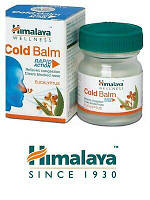 Бальзам Колд Хималая 10 г (Cold Balm Himalaya)